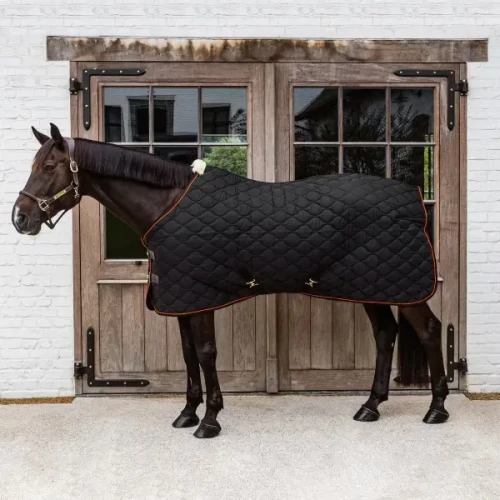 kentucky-horsewear-52238-01-125-black-2.webp