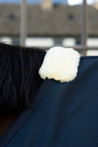 pol_pm_Derka-stajenna-Kentucky-Horsewear-Canvas-Sheet-82225_2.jpg