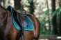 pol_pm_Kentucky-czaprak-Velvet-szmaragdowy-6279_1.webp