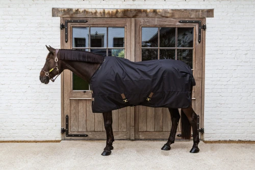 pol_pl_Derka-padokowa-Kentucky-Horsewear-All-Weather-Waterproof-Classic-50g-81329_9.jpg