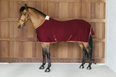 pol_pm_Derka-Cooler-Rug-PROtherm-bordowa-11487_1.webp