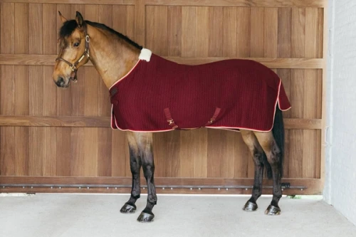 pol_pm_Derka-Cooler-Rug-PROtherm-bordowa-11487_1.webp