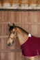 pol_pm_Derka-Cooler-Rug-PROtherm-bordowa-11487_2.webp