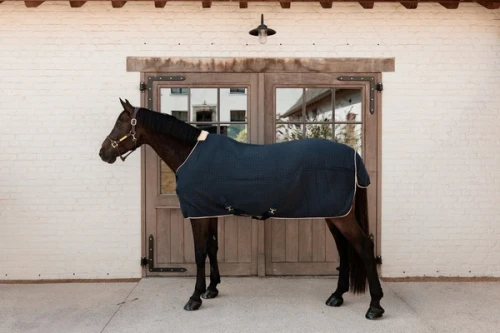 pol_pm_Derka-Cooler-Rug-PROtherm-granatowa-13952_3.webp