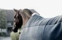 pol_pm_-Kentucky-derka-polarowa-Heavy-szara-6494_2.webp