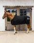 pol_pm_-Kentucky-derka-polarowa-Prize-Giving-Cooler-Fleece-Rug-czarna-14073_3.webp