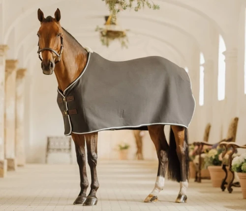 pol_pm_Derka-welniana-Kentucky-Fleece-Rug-Show-Vegan-Wool-szara-11553_2.webp