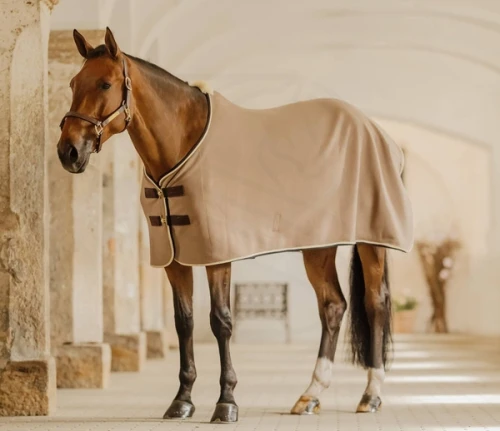 pol_pm_Derka-welniana-Kentucky-Fleece-Rug-Show-Vegan-Wool-bezowa-11555_6.webp