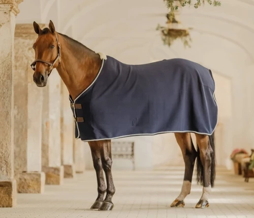 pol_pm_Derka-welniana-Kentucky-Fleece-Rug-Show-Vegan-Wool-granatowa-11554_1.webp