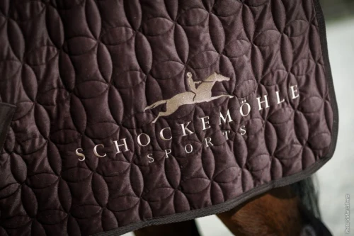 SchockSports_AW2026-img175_800x800.jpg