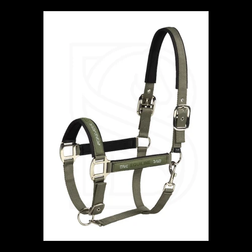 equiline-kantar-z-uwiazem-esdino-ss26-loden-green (1).jpg