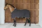 pol_pl_Derka-welniana-Kentucky-Fleece-Rug-Vegan-Wool-szara-11488_2.webp