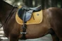 pol_pl_Kentucky-czaprak-Velvet-musztardowy-6277_2.webp