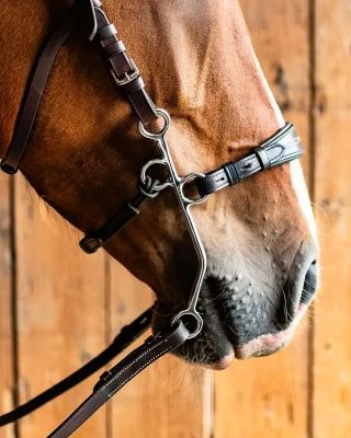 1194_e4b30466d6-hunter_medium-full.webp