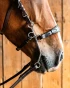 1194_e4b30466d6-hunter_medium-full.webp