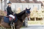 pol_pm_Kentucky-czaprak-Glitter-Rope-granatowy-6285_2.webp