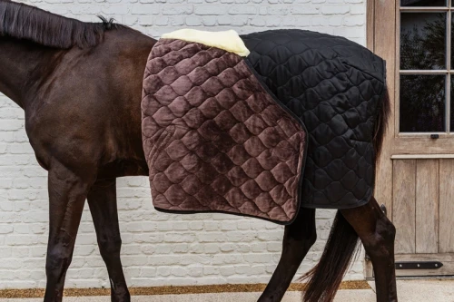 pol_pl_Kentucky-derka-stajenna-Comfort-300g-czarna-13203_3.webp