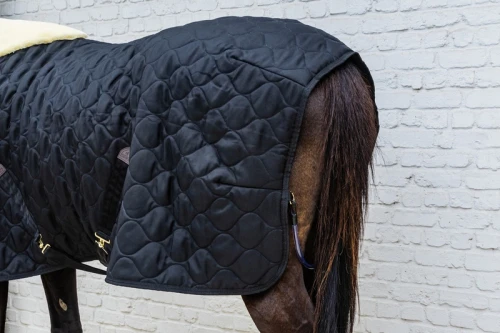 pol_pl_Kentucky-derka-stajenna-Comfort-300g-czarna-13203_7.webp