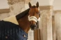 pol_pm_Kentucky-derka-stajenna-Comfort-100g-granatowa-11313_7.webp