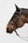 pol_pm_Dlugie-nauszniki-wyciszajace-Kentucky-Fly-Veil-Long-czarne-12475_5.webp