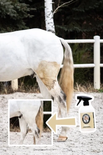 pol_pl_Suchy-Szampon-bez-Splukiwania-100ml-107_2.webp