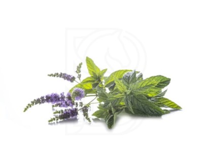 3dbf67e037d5a924309a645bf0e3880a.jpg
