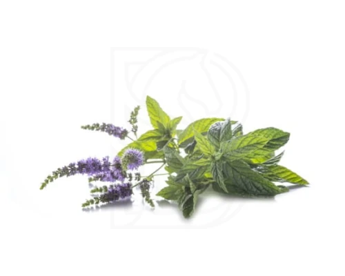 3dbf67e037d5a924309a645bf0e3880a.jpg