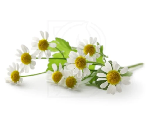 a3630e553275b530c4c99eb64ded3b4c.jpg