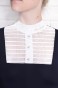 IRIS-16.webp