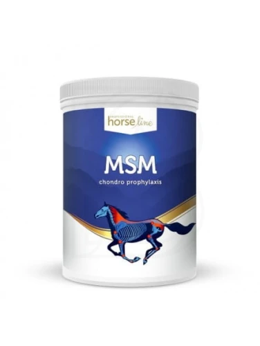 msm-1300g.jpg