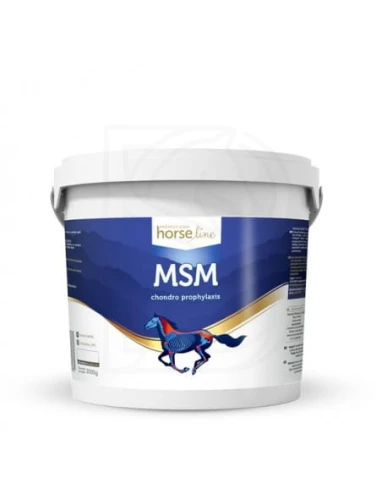 msm-3000g.jpg