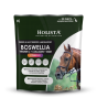 boswellia-serrata-complex-500g-regeneracja-stawow.jpg