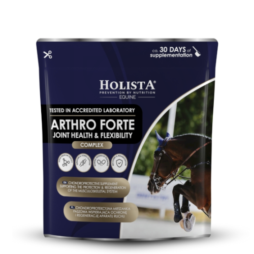 arthro-forte-600g-profesjonalna-ochrona-i-regeneracja-aparatu-ruchu.jpg