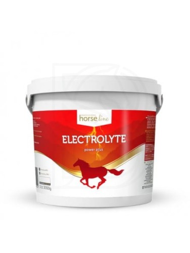 electrolyte-powerplus-3000g.jpg