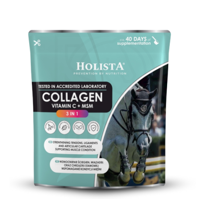 kolagen-3w1-vit-c-msm-600g-wzmocnienie-struktury-sciegien-i-stawow.jpg