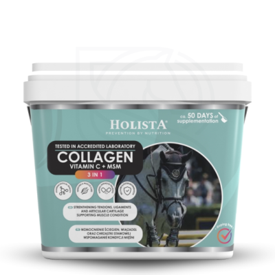 kolagen-3w1-vit-c-msm-1000g-wzmocnienie-struktury-sciegien-i-stawow.jpg