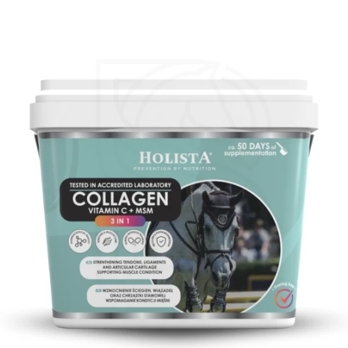 kolagen-3w1-vit-c-msm-1000g-wzmocnienie-struktury-sciegien-i-stawow.jpg