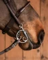 535_faf1f9a3c4-kimblehook-sweetiron-27101-full.webp