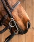 764_a8b7d5b9df-pelham-sweet-iron-full.webp