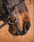 742_040979a053-titan_loose_rings-full.webp