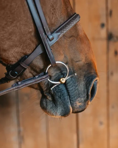 661_03d36fd450-bf_sweet_gold-full.webp