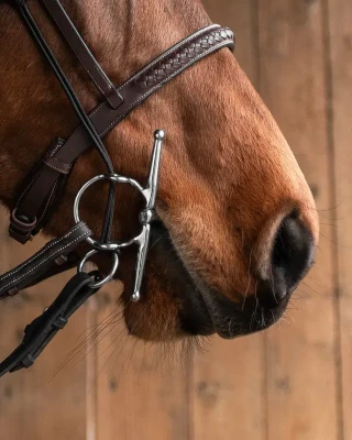 560_38888fe1eb-fullcheek-gag-sweet-iron-full.webp