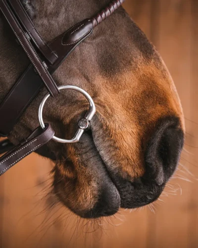357_a3274a44ff-sweet_iron_fixed_rings4073-full.webp