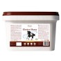 Electro_Horse_15kg.jpg
