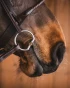 489_c11ecae294-sweet-gold-fixed-rings-full.webp