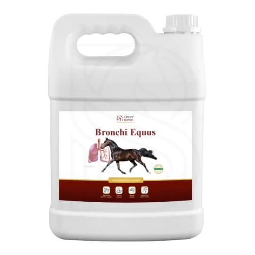 Bronchi_Equus_5litr.jpg