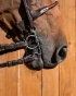 454_2cebb31efc-babypelhalm-titan-5-full.webp