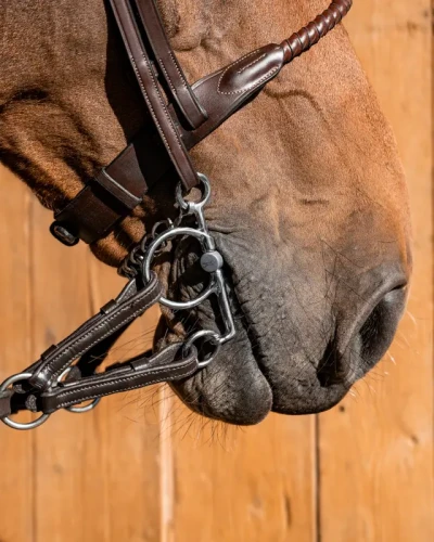 454_5cf59c6d32-babypelhalm-titan-4-full.webp