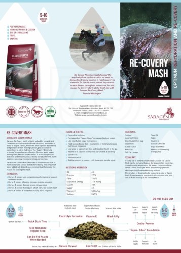 saracen-re-covery-mash-20kg-mesz-dla-koni-o-smaku-bananowym (1).jpg