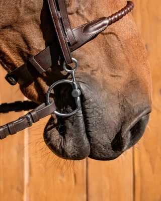 447_79e66254e8-baucher-titan-full.webp